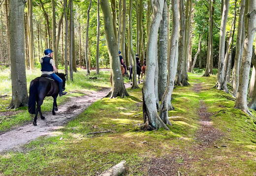 24-07-01 11-23-32 0056